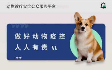 珠海动物诊疗安全公众服务平台