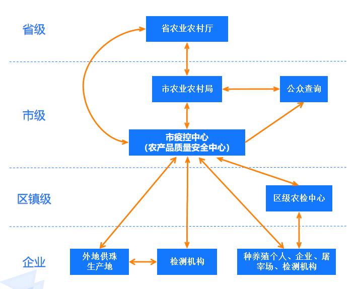 多级监管体系